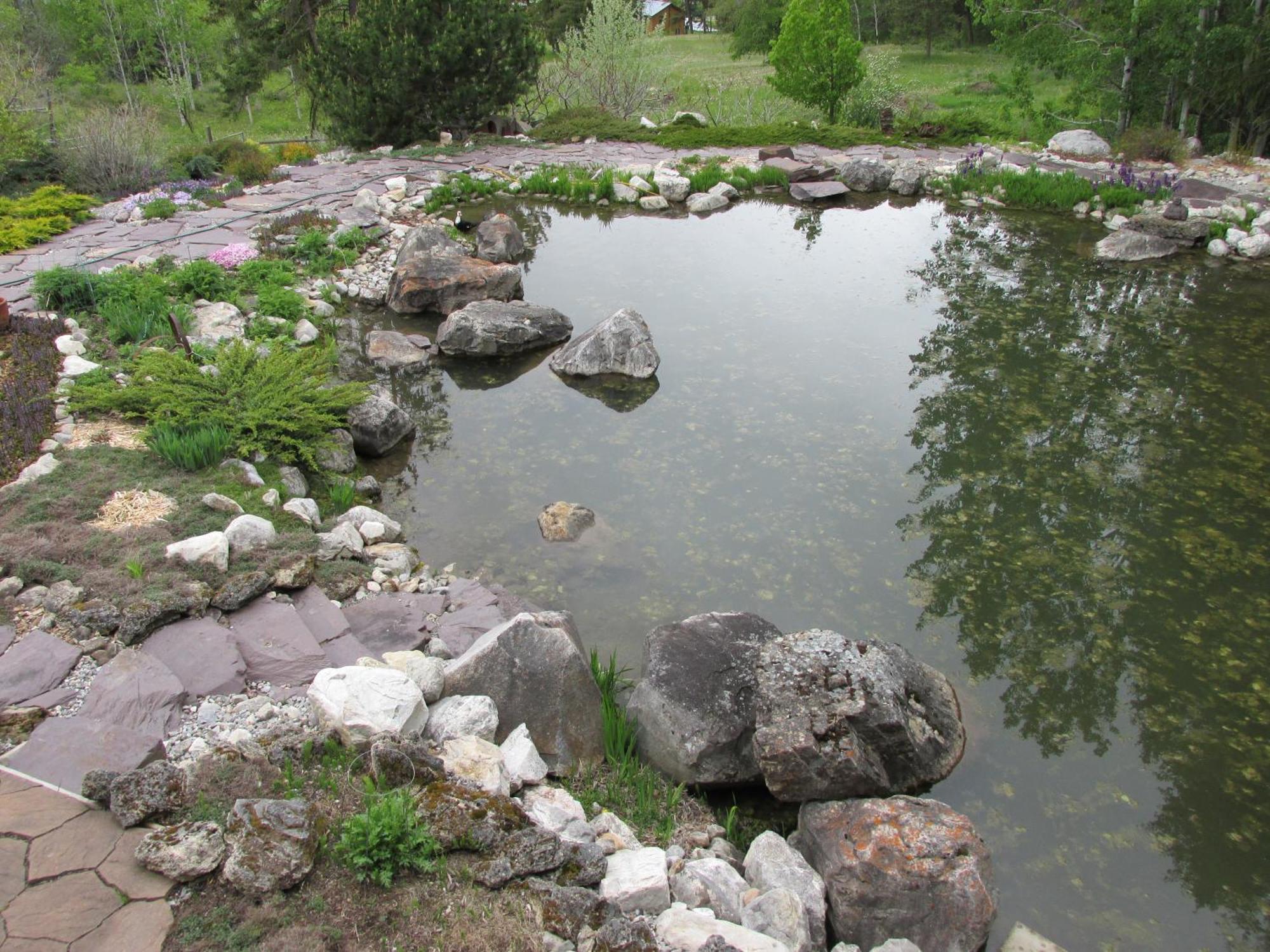 Parson Beard'S Creek Bed And Breakfast מראה חיצוני תמונה